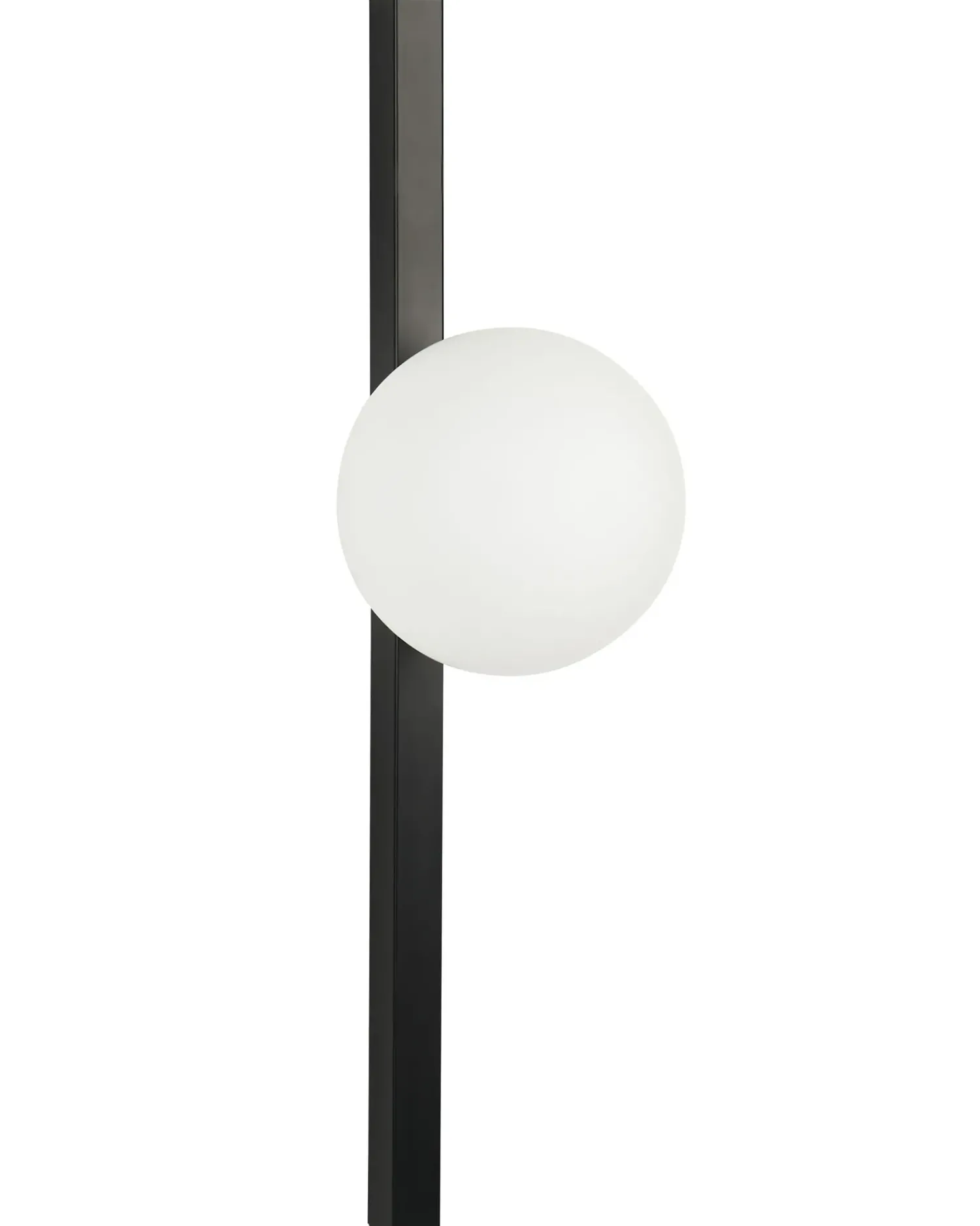 Hot Beliani Applique ISABELLA Metallo Nero Bianco Nero