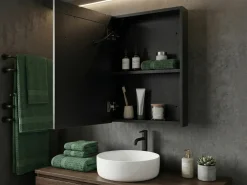 Armadio a muro per specchio da bagno LED MALASPINA 40 cm 60 cm Nero