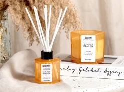 Hot Beliani Candela Profumata con Diffusore di Fragranze CLASSY TINT Cera di Soia Note fresche Arancione