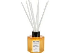 Hot Beliani Candela Profumata con Diffusore di Fragranze CLASSY TINT Cera di Soia Note fresche Arancione