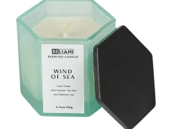Clearance Beliani Candela Profumata con Diffusore di Fragranze CLASSY TINT Cera di Soia Note fresche Blu