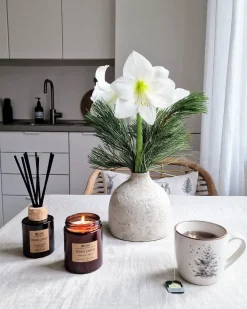New Beliani Candela Profumata con Diffusore di Fragranze DARK ELEGANCE 9 cm Marrone