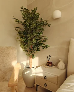 New Beliani Candela Profumata con Diffusore di Fragranze DARK ELEGANCE 9 cm Marrone