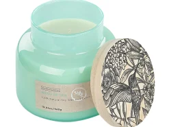 New Beliani Candela Profumata DELIGHT BLISS Cera di Soia Note fresche Blu
