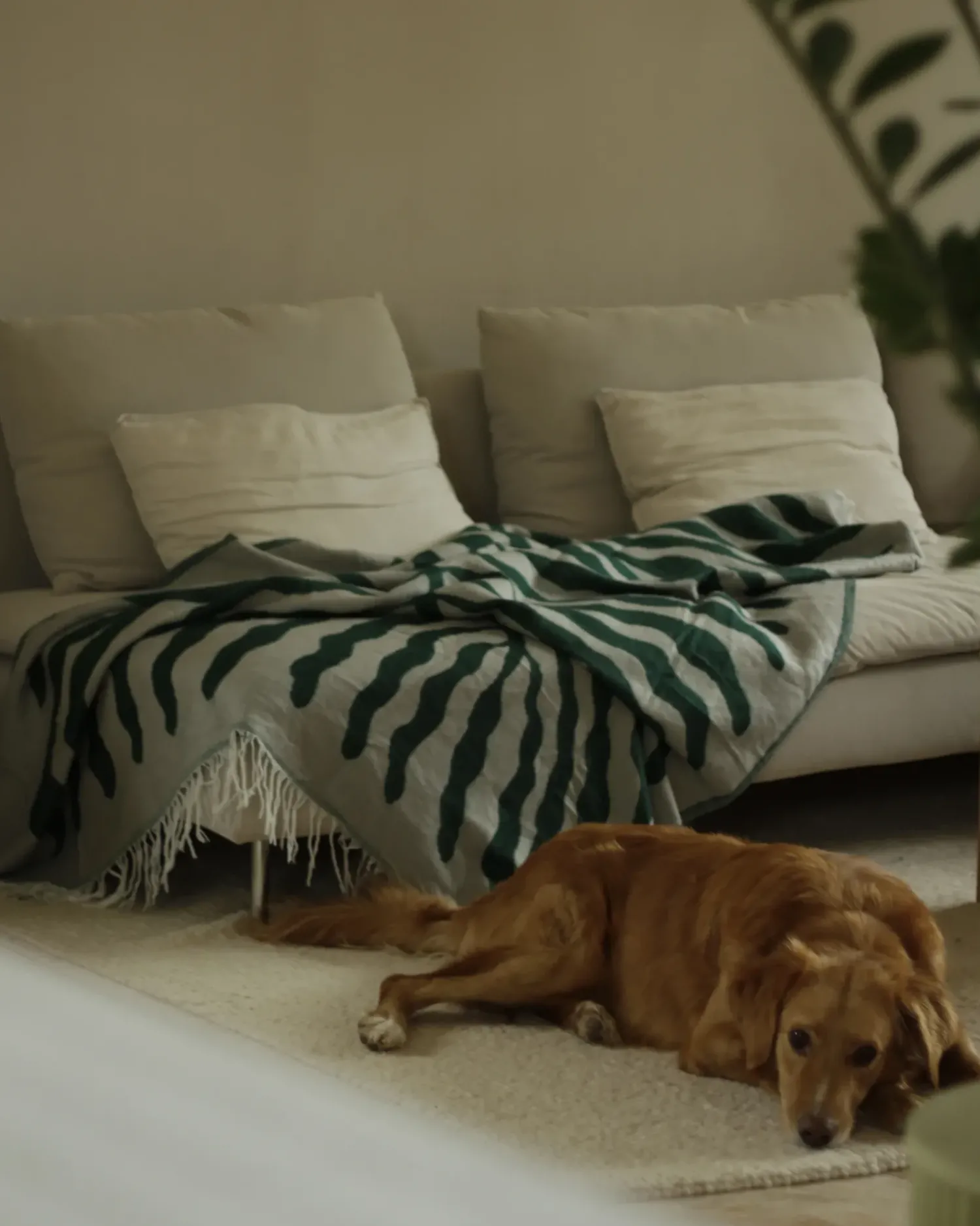 Outlet Beliani Coperta BARTAR Tessuto 130 x 170 cm Verde Bianco Verde
