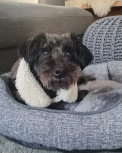 Online Beliani Cuccia per animali CANDIR Lino Grigio