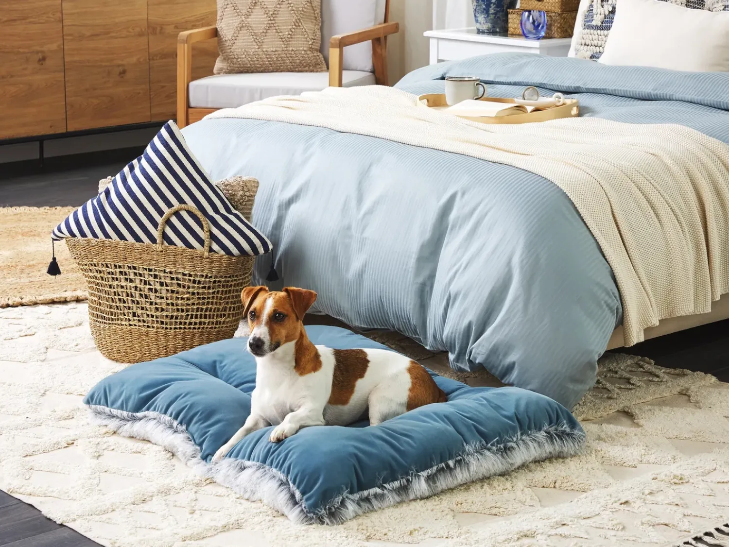 Sale Beliani Cuccia per animali ERGANI Velluto Blu