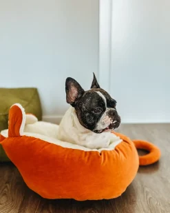 Best Beliani Cuccia per animali HASSA Velluto Arancione Bianco Arancione