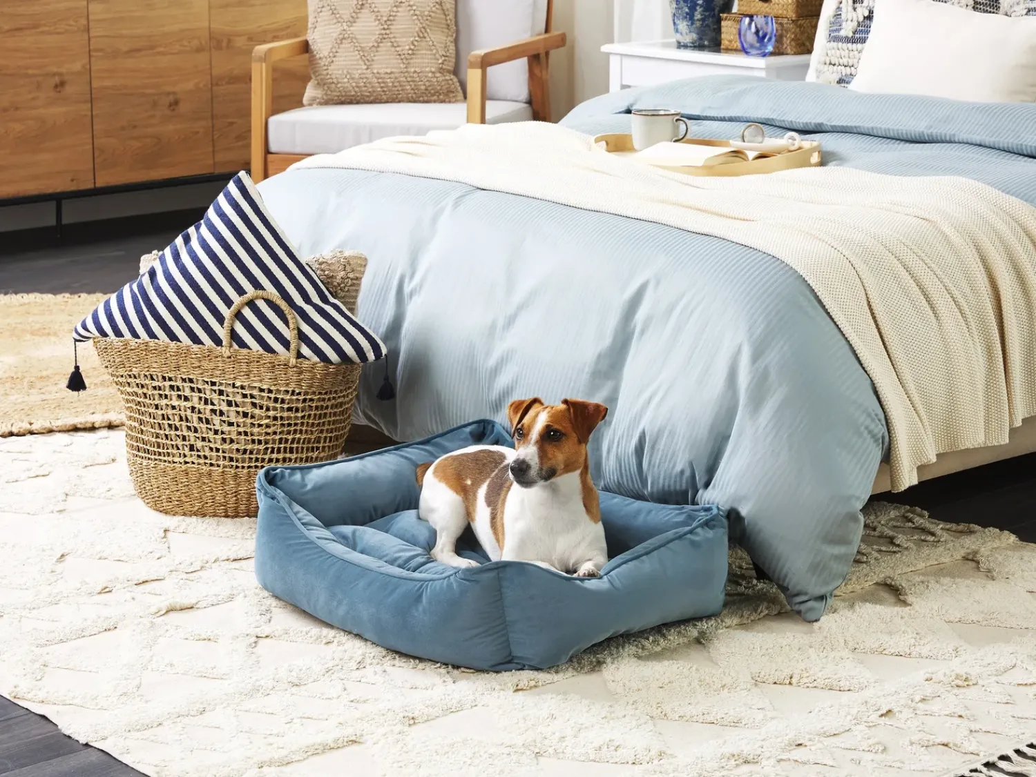 Hot Beliani Cuccia per animali IZMIR Velluto Blu