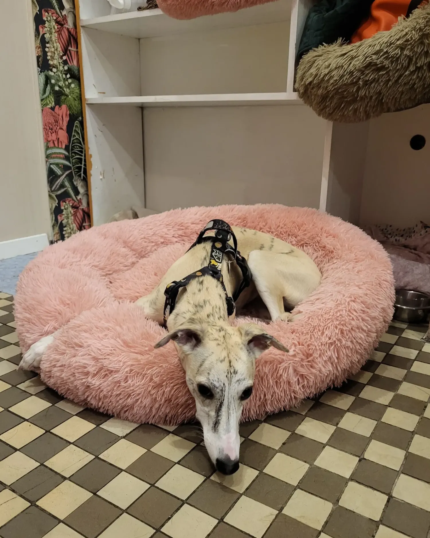 Best Beliani Cuccia per animali KULU Finta pelliccia Rosa