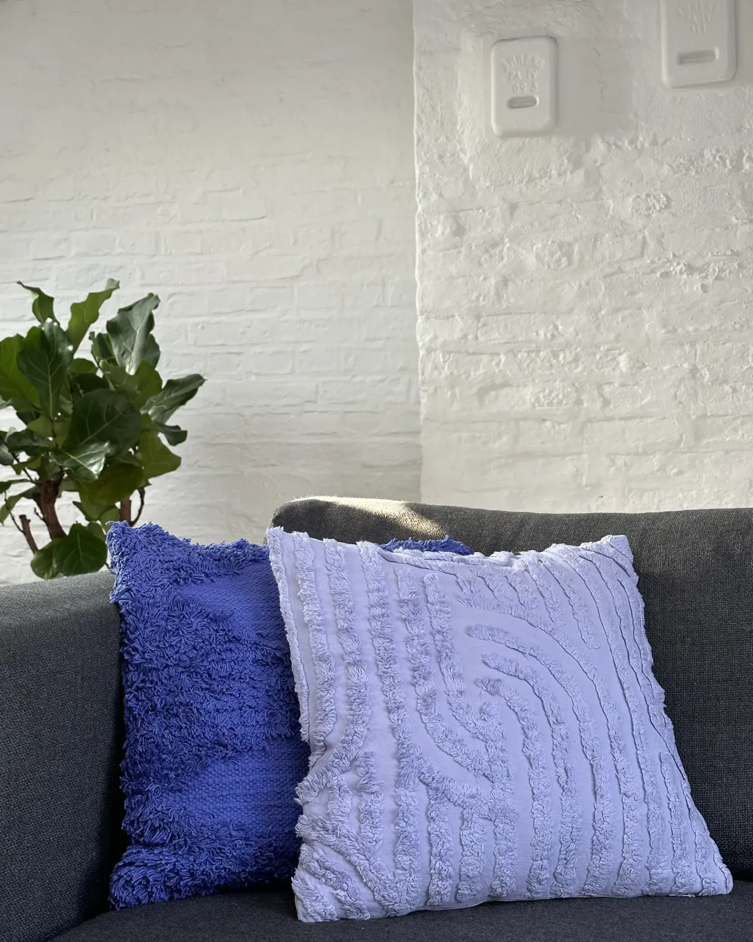 Hot Beliani Cuscino decorativo RHOEO Cotone 45 x 45 cm Viola