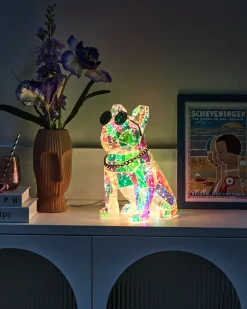 Beliani Decorazione a LED Cane JONKU Multicolore