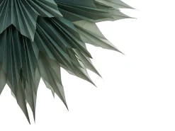 Discount Beliani Decorazione natalizia GRONA Stella 96 cm Verde