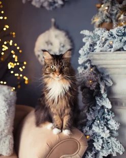 Hot Beliani Festone natalizio innevato LED SUNDO Bianco Bianco Verde