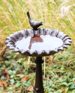 Best Beliani Fontana per uccelli BLACKBIRD Marrone