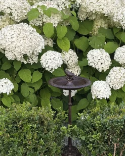 Sale Beliani Fontana per uccelli SWALLOW Marrone