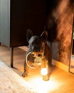 New Beliani Lampada da tavolo Cane BAXTER Nero Nero Ottone