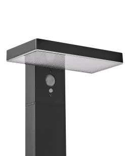 Best Beliani Lampione solare da giardino a LED POPLAR con sensore di movimento Nero