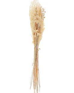 Hot Beliani Mazzo di Fiori Secchi BRUNETE 65 cm Naturale Naturale Marrone
