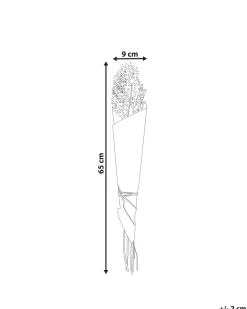 Hot Beliani Mazzo di Fiori Secchi BRUNETE 65 cm Naturale Naturale Marrone