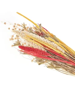 Beliani Mazzo di Fiori Secchi PAMPELUNA 65 cm Naturale Giallo Marrone Naturale Rosso