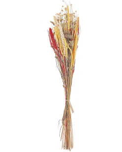 Beliani Mazzo di Fiori Secchi PAMPELUNA 65 cm Naturale Giallo Marrone Naturale Rosso