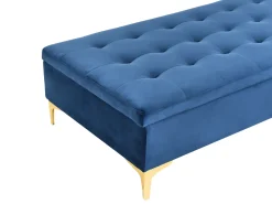 Sale Beliani Ottomano contenitore ABERDEEN Velluto Blu marino Oro Blu