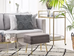 Discount Beliani Panca contenitore imbottita ODESSA Velluto Grigio Oro Grigio