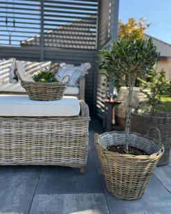 Best Beliani Panca da giardino con cuscino SUSUA Rattan Naturale Bianco Naturale