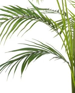 Beliani Pianta artificiale ARECA PALM 124 cm Verde Verde Nero