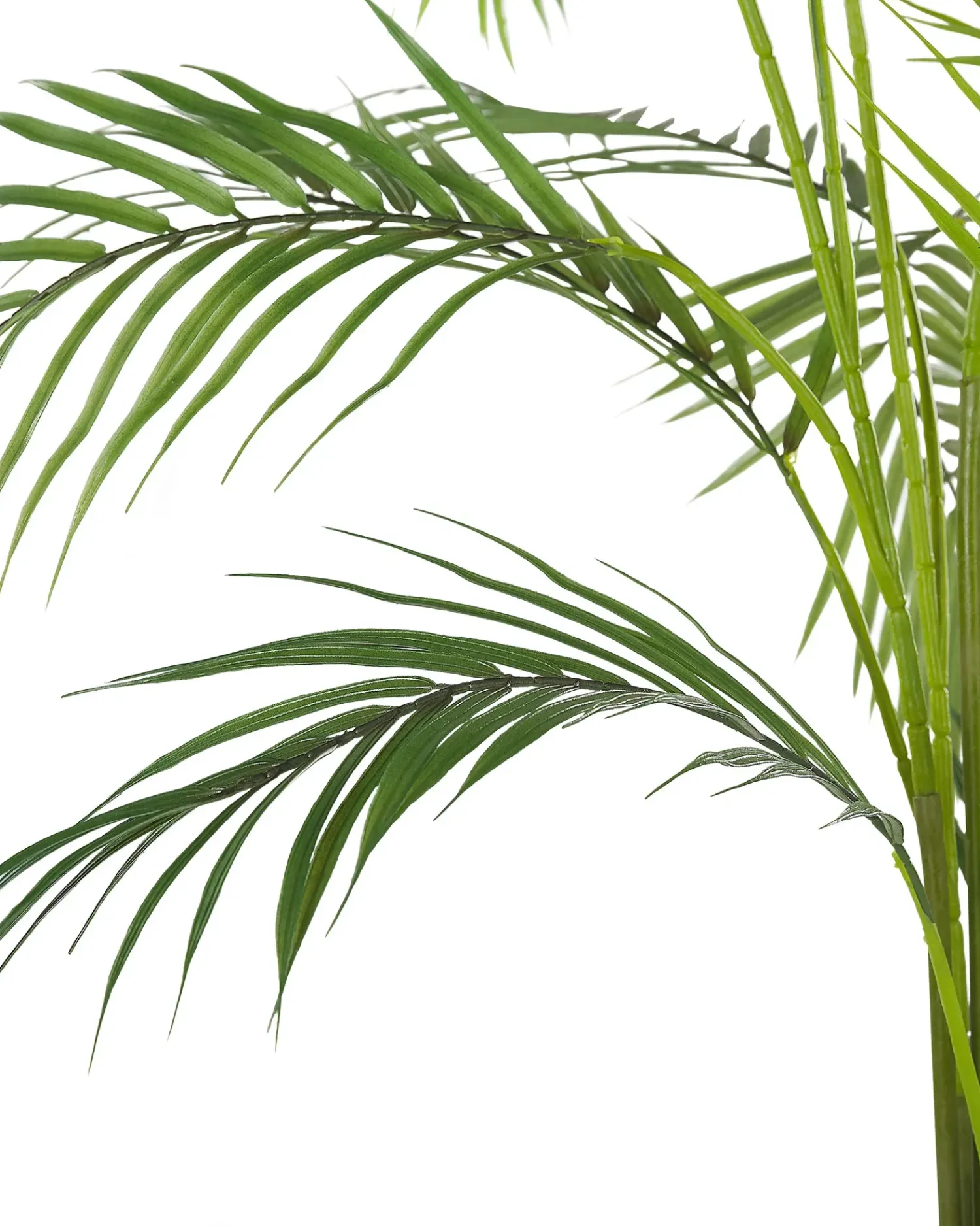 Beliani Pianta artificiale ARECA PALM 124 cm Verde Verde Nero