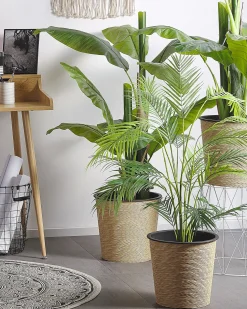 Beliani Pianta artificiale ARECA PALM 124 cm Verde Verde Nero