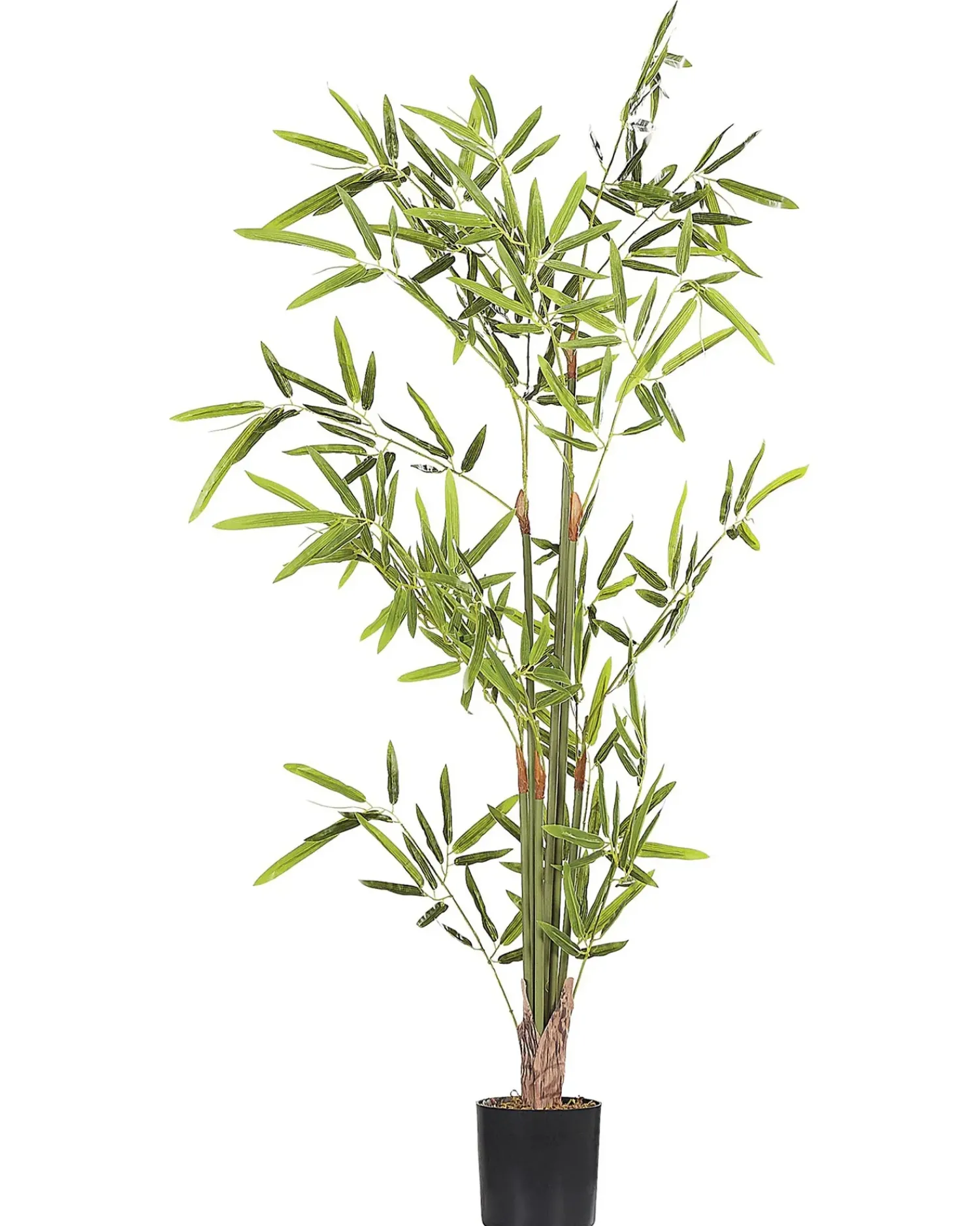 Best Beliani Pianta artificiale BAMBUSA VULGARIS 100 cm Verde Verde Nero
