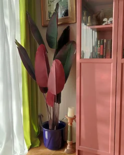 New Beliani Pianta artificiale BANANA TREE 163 cm Verde Rosso Verde Nero