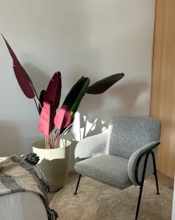 New Beliani Pianta artificiale BANANA TREE 163 cm Verde Rosso Verde Nero