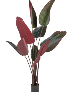 New Beliani Pianta artificiale BANANA TREE 163 cm Verde Rosso Verde Nero
