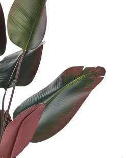 New Beliani Pianta artificiale BANANA TREE 163 cm Verde Rosso Verde Nero