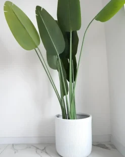 Best Beliani Pianta artificiale BANANA TREE 187 cm Verde Nero Verde