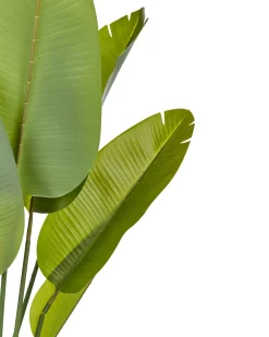 Best Beliani Pianta artificiale BANANA TREE 187 cm Verde Nero Verde