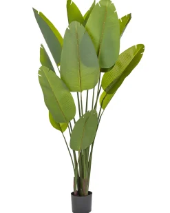 Best Beliani Pianta artificiale BANANA TREE 187 cm Verde Nero Verde