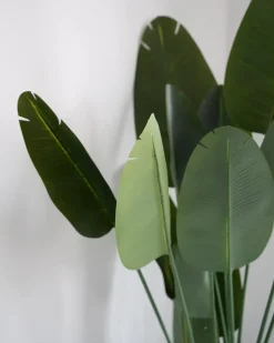 Best Beliani Pianta artificiale BANANA TREE 187 cm Verde Nero Verde