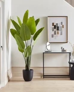 Best Beliani Pianta artificiale BANANA TREE 187 cm Verde Nero Verde