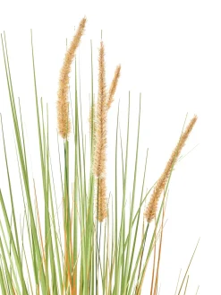 Beliani Pianta artificiale BRISTLEGRASS Verde Arancione Verde Nero