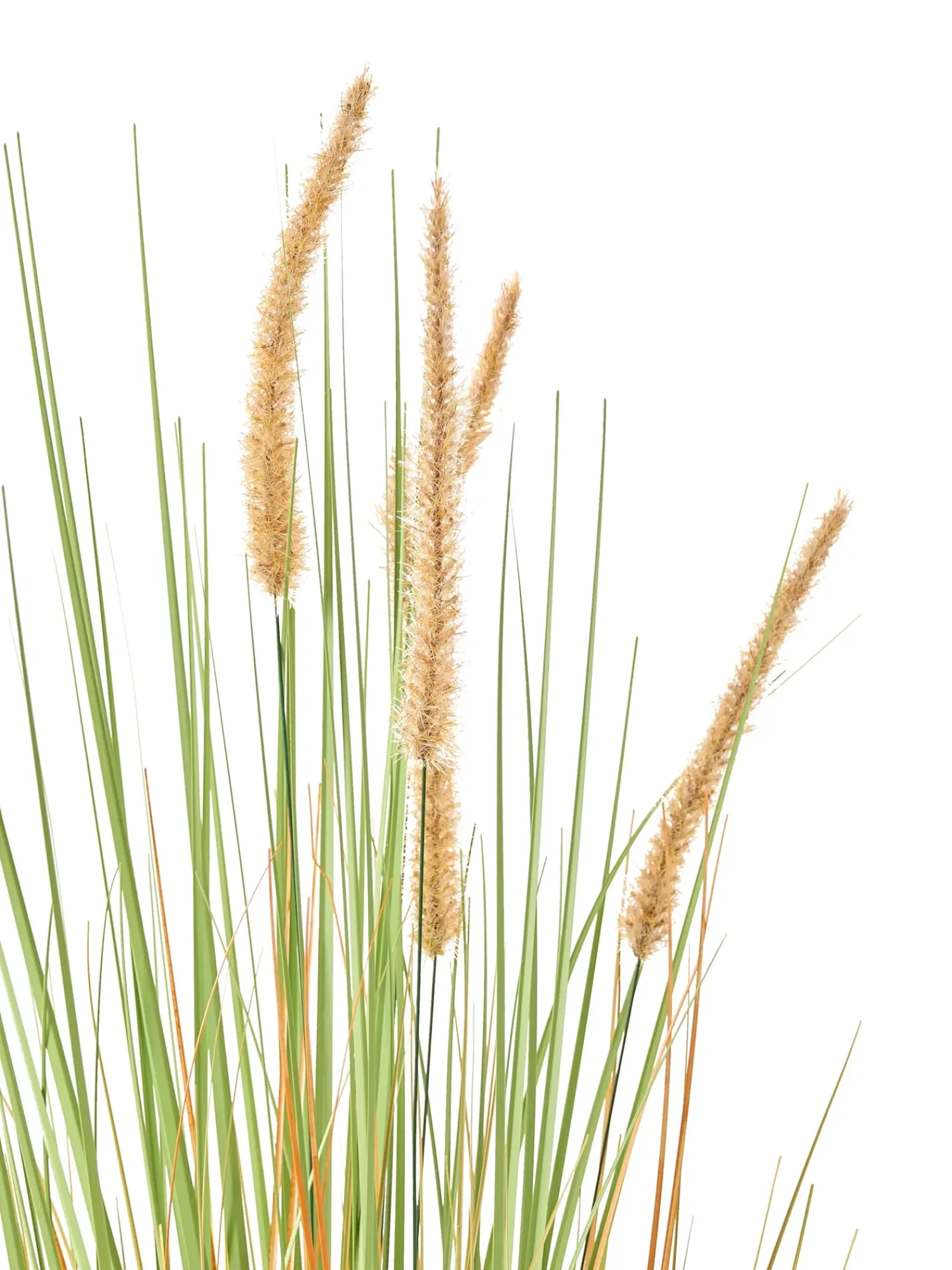 Beliani Pianta artificiale BRISTLEGRASS Verde Arancione Verde Nero