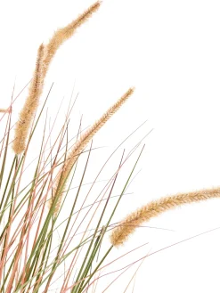 New Beliani Pianta artificiale BRISTLEGRASS Arancione Arancione Verde Nero