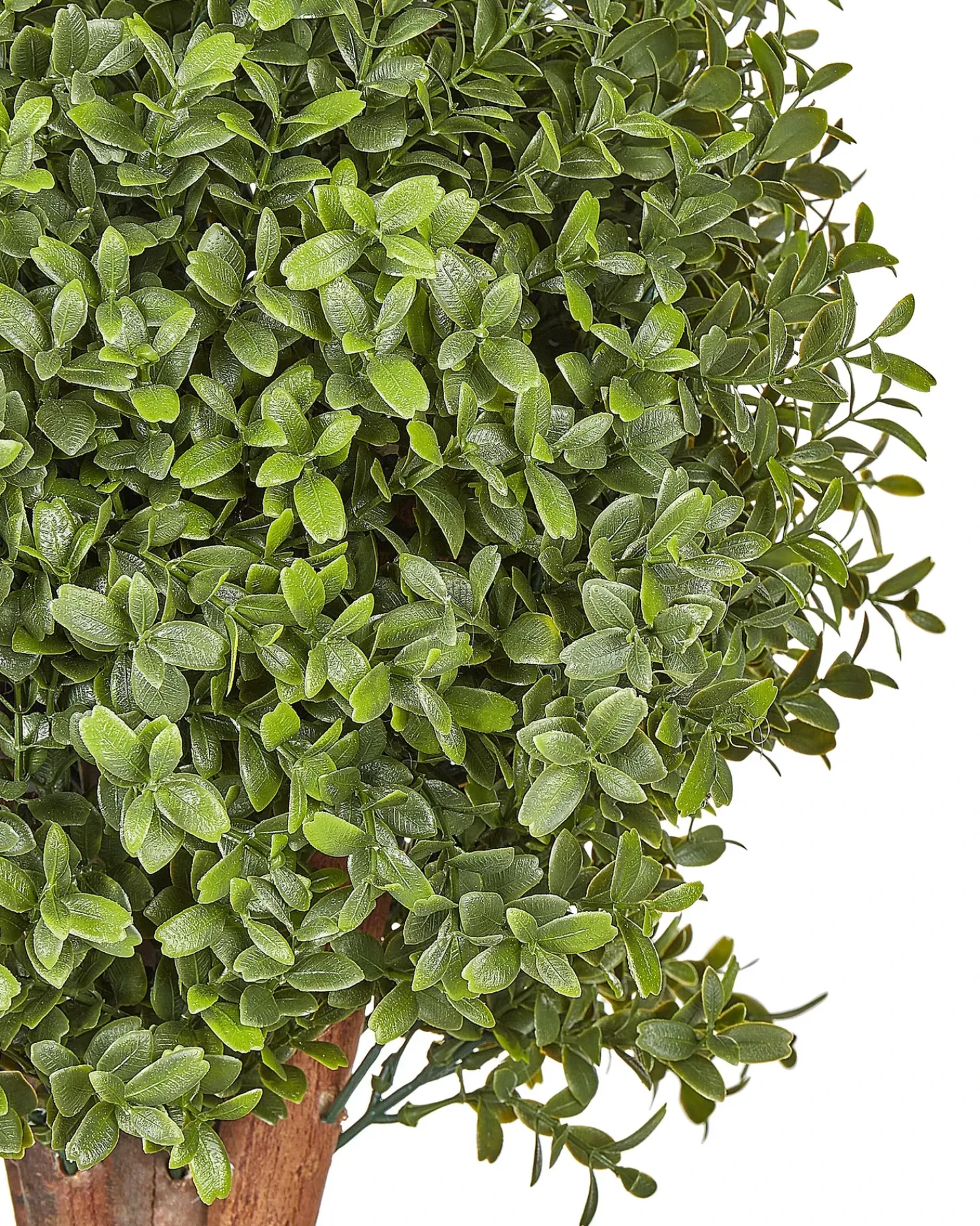 Best Beliani Pianta artificiale BUXUS BALL TREE Verde Marrone Verde Nero