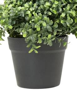 New Beliani Pianta artificiale BUXUS SPIRAL TREE Verde Nero Verde