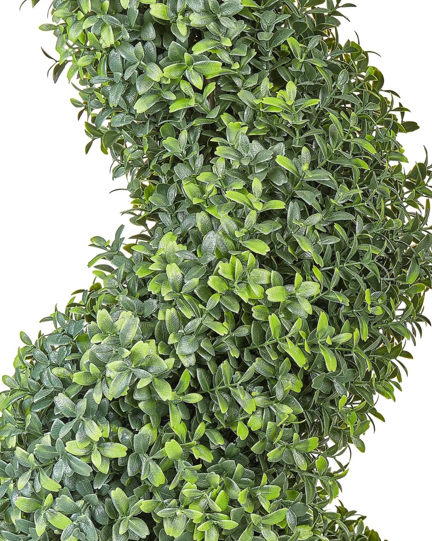 Hot Beliani Pianta artificiale BUXUS SPIRAL TREE Verde Nero Verde