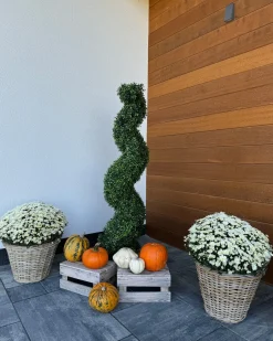 Hot Beliani Pianta artificiale BUXUS SPIRAL TREE Verde Nero Verde