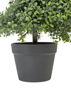 Hot Beliani Pianta artificiale BUXUS SPIRAL TREE Verde Nero Verde